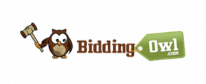 Silent Auction on Bidding Owl - SITE GOES LIVE SUNDAY NIGHT!